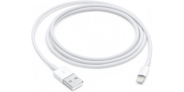 Apple Lightning To Usb Cable (1 M)