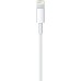 Apple Lightning To Usb Cable (1 M)