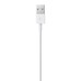 Apple Lightning To Usb Cable (1 M)